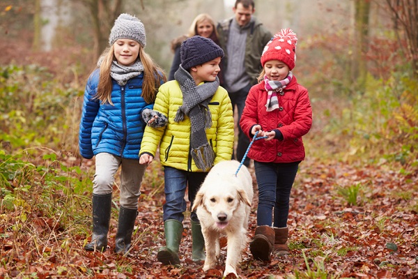 Family Walk