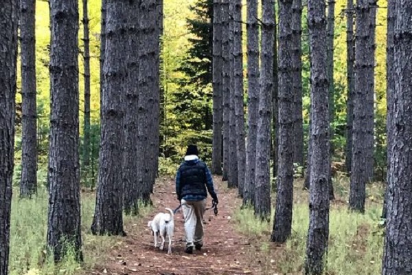 Walk in the Woods